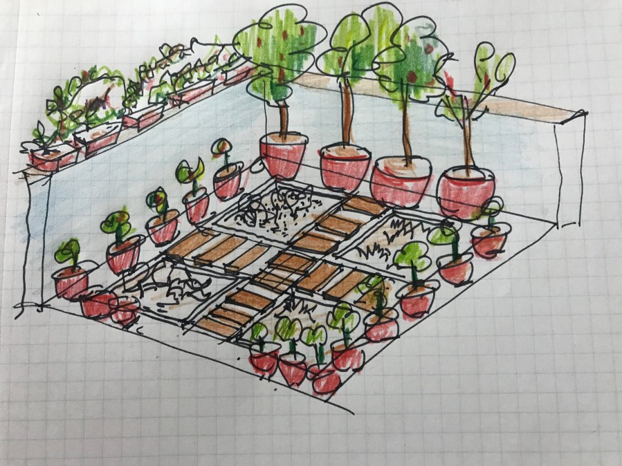 Initial garden design sketch